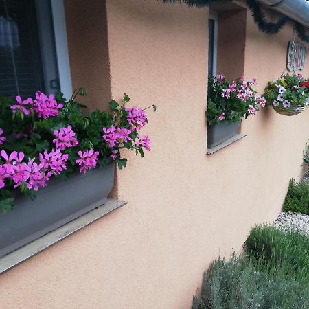 Danieli Holiday Home Štúrovo Zewnętrze zdjęcie