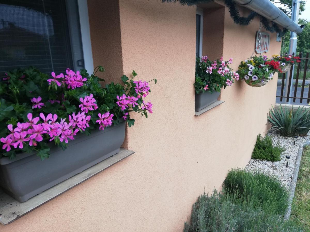 Danieli Holiday Home Štúrovo Zewnętrze zdjęcie